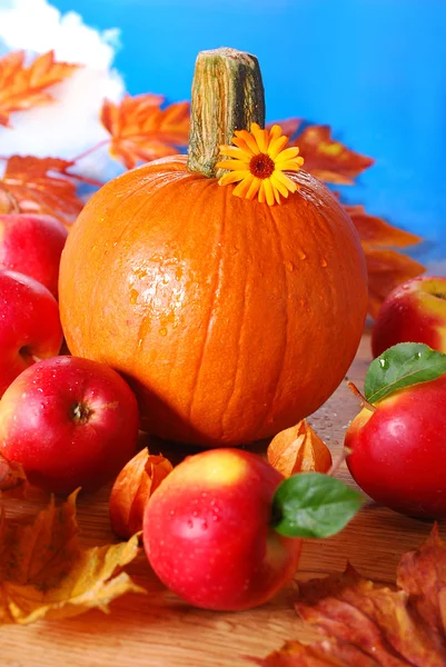Pumpkin and apples on autumn table — Stock Photo, Image