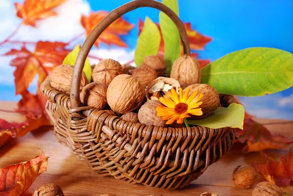 Basket with fresh walnuts — Stock Photo, Image