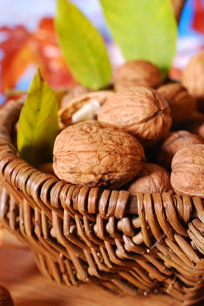 Basket with fresh walnuts — Stock Photo, Image