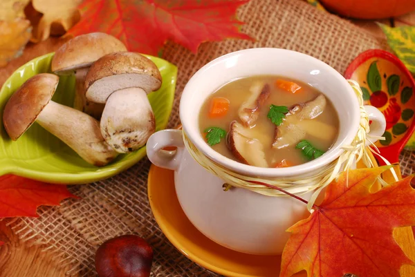 Sopa de champiñones porcini otoño —  Fotos de Stock