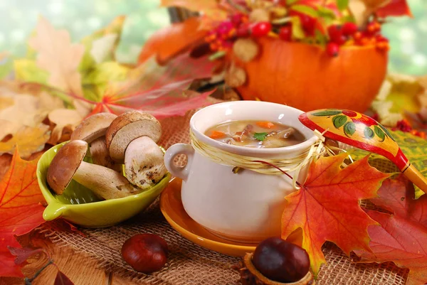 Autumn porcini mushrooms soup — Stock Photo, Image