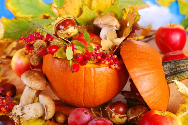 Autumn harvest in the pumpkin — Stock Photo, Image