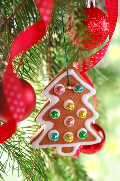 Homemade gingerbread cookie hanging on christmas tree — Stock Photo, Image