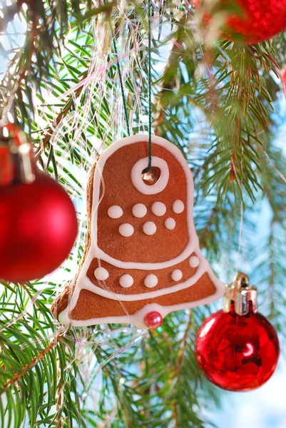 Domácí perník cookie zavěšení na vánoční stromeček — Stock fotografie