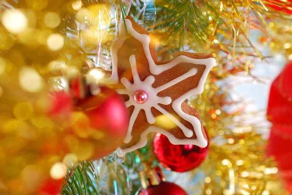 Homemade gingerbread cookie hanging on christmas tree Stock Photo