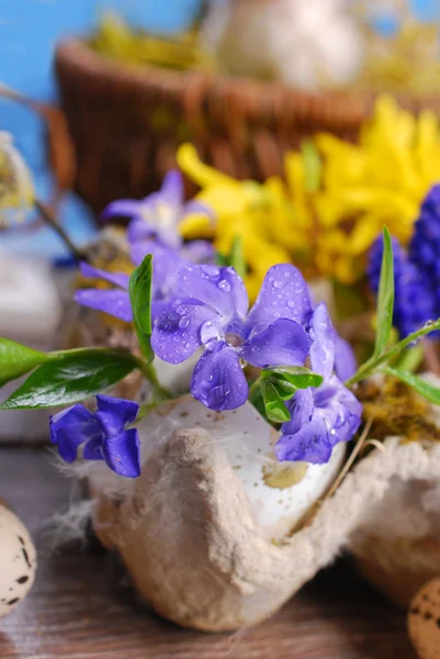 Coquille d'oeuf avec fleurs de printemps pour Pâques — Photo