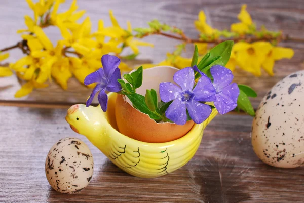 Egg shell with flowers in hen shape stand for easter — Stock Photo, Image