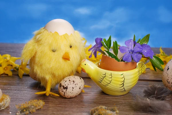 Easter decoration with chicken and eggs — Stock Photo, Image