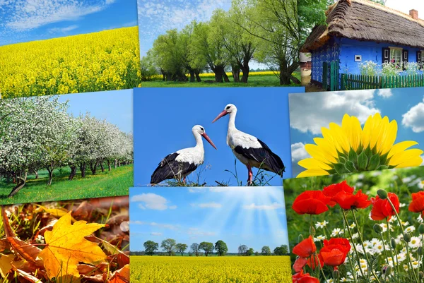 Bellezza di Polonia-collage — Foto Stock