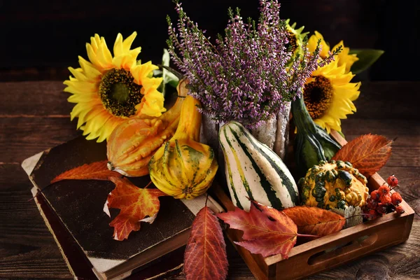 Herbst Stillleben Mit Zierkürbissen Bunten Blättern Und Saisonalen Blumen Rustikalen — Stockfoto