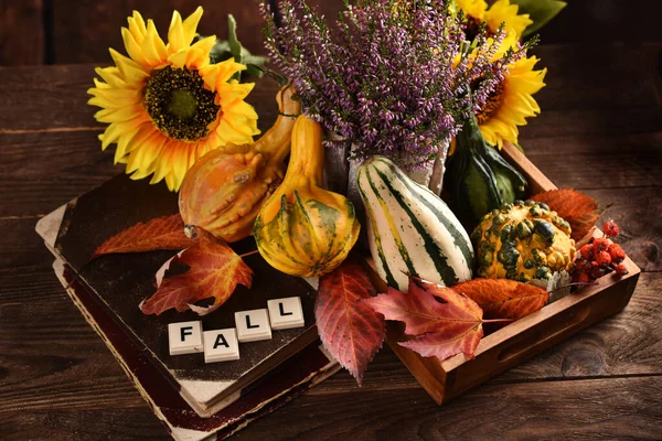 Herbst Stillleben Mit Zierkürbissen Bunten Blättern Und Saisonalen Blumen Rustikalen — Stockfoto