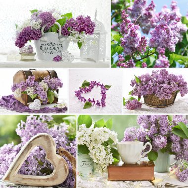 Mor leylak çiçekleri olan eski tarz resimlerle dolu bahar kolajı