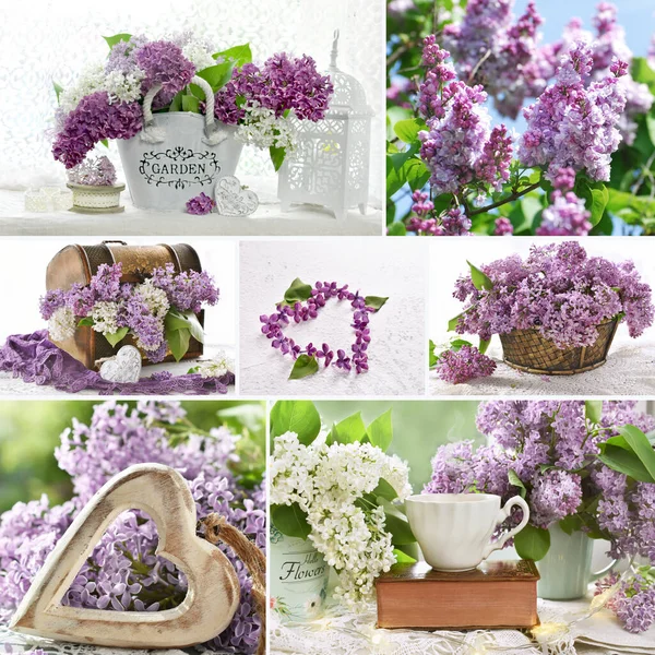 带有紫色紫丁香花朵复古风格图片集的春季拼贴 — 图库照片
