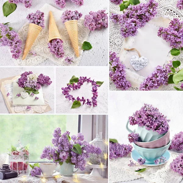Весняний Колаж Колекцією Картин Фіолетовими Бузковими Квітами — стокове фото