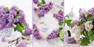 Bahar arkaplan kolajı. Mor leylak çiçeğinin 3 resmi.