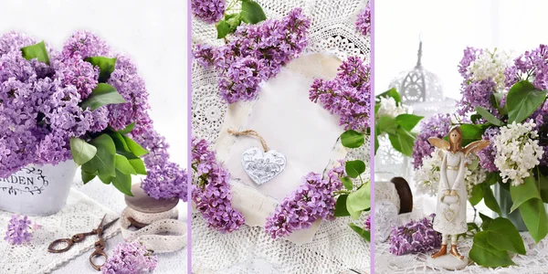 Bahar arkaplan kolajı. Mor leylak çiçeğinin 3 resmi.