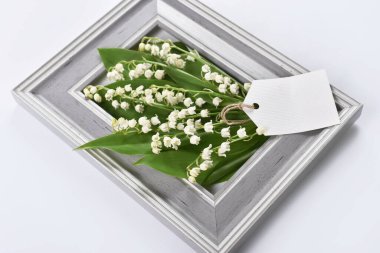 Gri çerçeve ve beyaz arkaplan üzerine kendi metin için kağıt etiket ile vadinin zambakları 