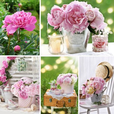 Çeşitli düzenlemelerle pembe şakayık çiçekleri olan güzel kolaj 