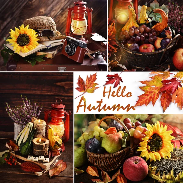 Ciao Collage Autunnale Con Fiori Frutta Stagione Stile Rustico Foto — Foto Stock