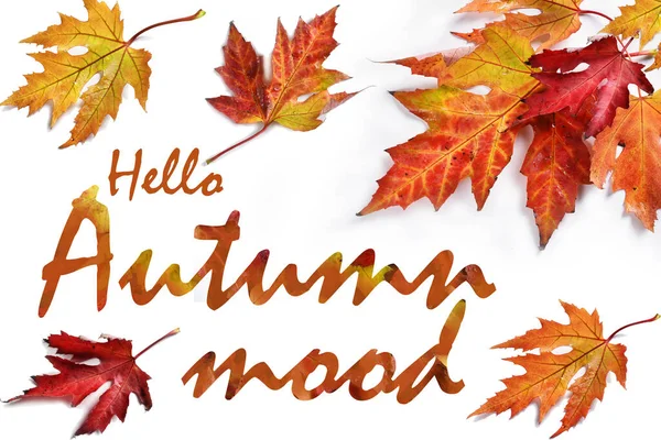 Hello Autumn Mood Background Colorful Leaves Inscription Isolated White — Stock Photo, Image