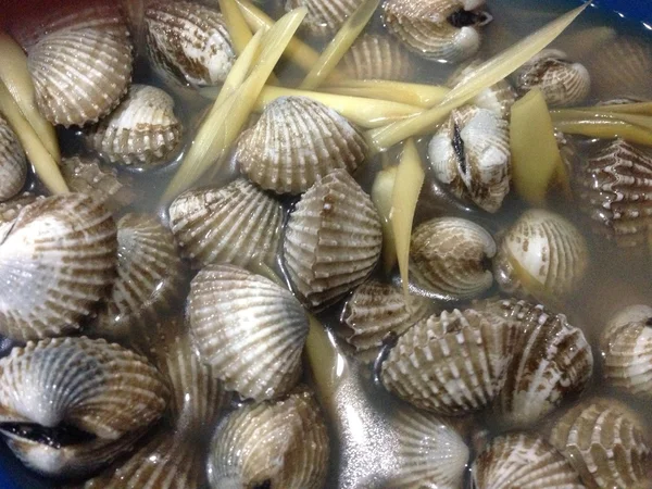 Malaysian Cuisine Steamed Cockles Seafood with garlic — стокове фото