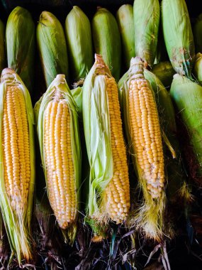 taze Mısır geleneksel ıslak pazar satış