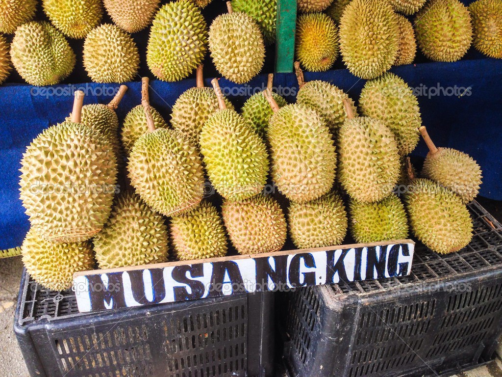 The Famous Musang King Durian, Malaysian Traditional King of Fruits
