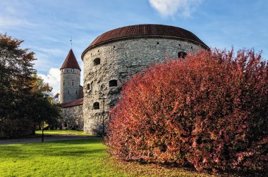Tallinn - eski bir kule en ünlü yerlerinden biri şişman margaret adında