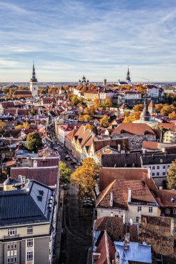 tallinn eski şehrin panoramik görünüm