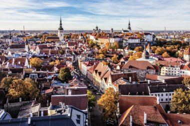 tallinn eski şehrin panoramik görünüm