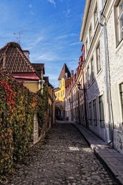 eski sokak tallinn, Estonya
