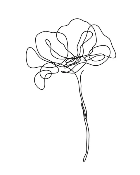 Vetor Arte Floral Desenho Linha Minimalista Com Uma Flor Papoula —  Vetores de Stock