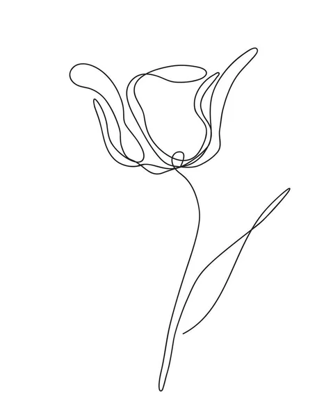 チューリップフラワーラインアートベクトル。タトゥー、プリント、ポスター、カードのためのチューリップの花とミニマリストライン図面 — ストックベクタ