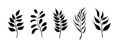 Beyaz arkaplanda izole edilmiş vektör yaprakları. Tropik palmiye dalları