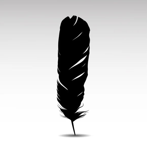 Pluma — Vector de stock