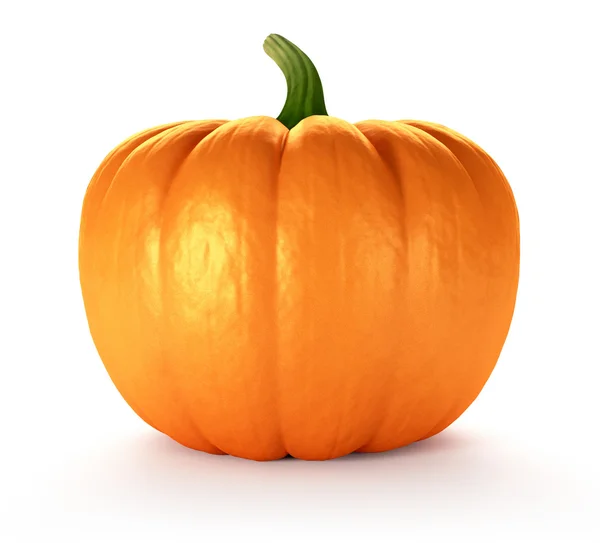 Pumpa — Stockfoto