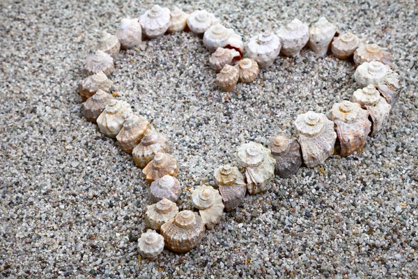 Conchas marinas Corazón —  Fotos de Stock