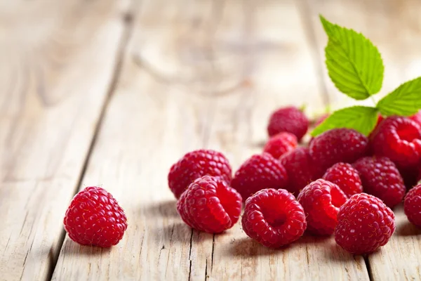 Himbeeren — Stockfoto