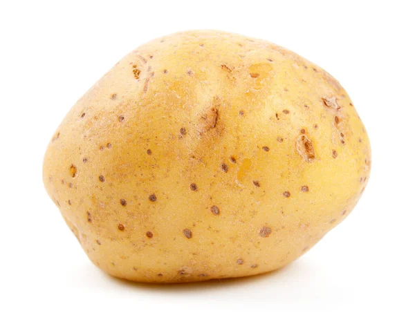 Potato Isolated White Background Top View — Stock Photo, Image