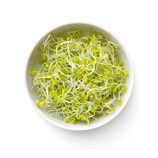 Fresh Broccoli Sprouts White Bowl Isolated White Background View Stock Photo