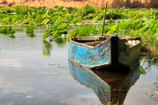 Lago de loto — Foto de Stock