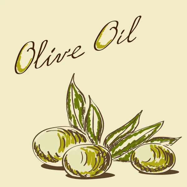 Oliiviöljy — vektorikuva