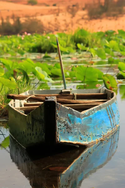 Lotus jezero — Stock fotografie