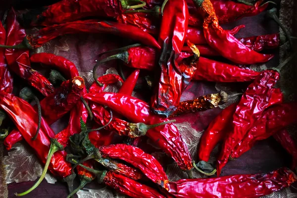 Chili pepper — Stock Photo, Image