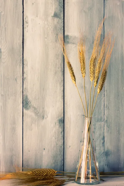 Wheat — Stock Photo, Image