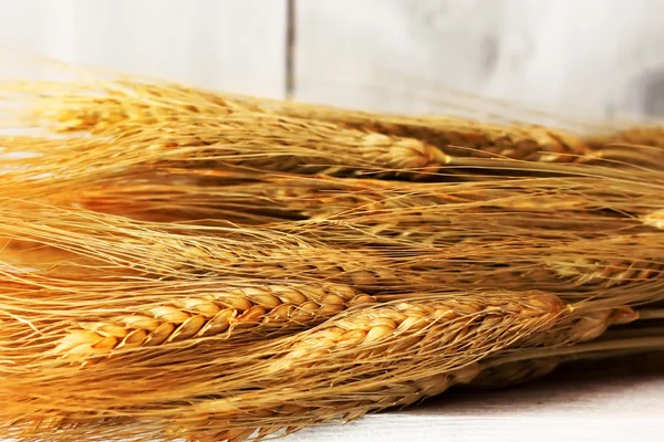 Wheat — Stock Photo, Image