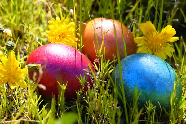 Huevos de Pascua — Foto de Stock