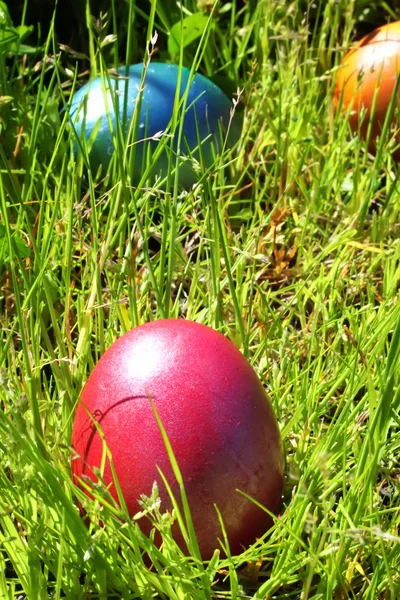 Huevos de Pascua — Foto de Stock