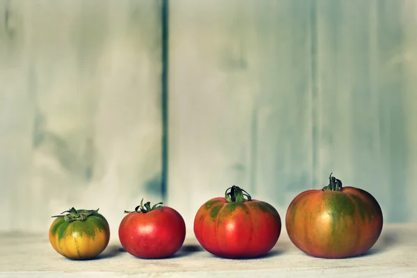 Pomodori — Foto Stock