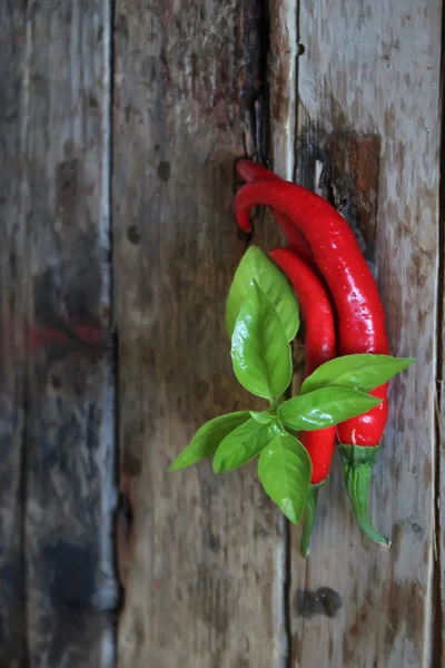 Chili pepper and basil — Stock Photo, Image